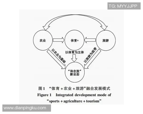 竞技体育发展与创新：探索现代竞技精神与运动员成长的多维路径