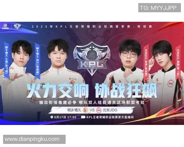 王者荣耀精彩解析：深入探讨JDG战队的默契配合与战术策略