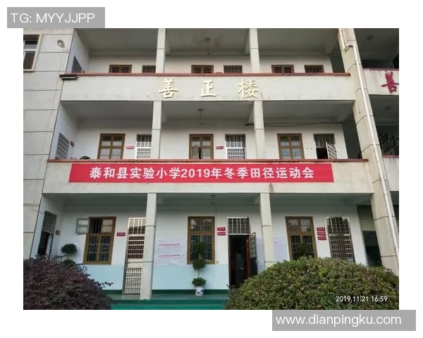 以体育精神为核心推动社会发展与个人成长的全面探讨