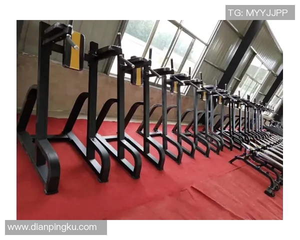 海口健身器材大全市场种类与用户选择