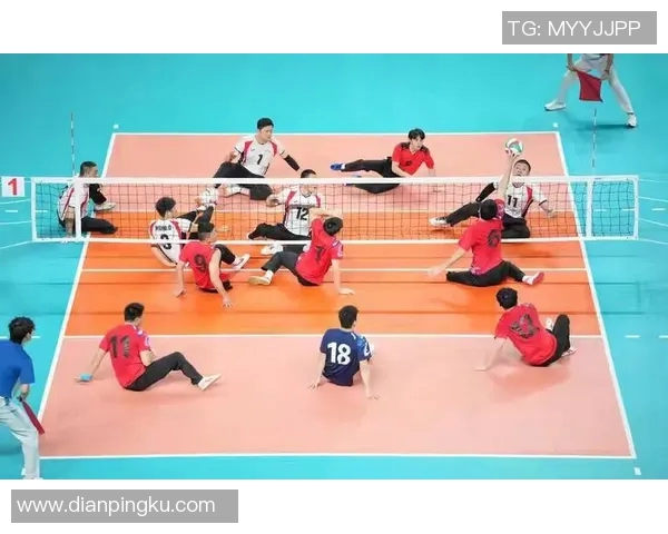 杭州排球队的拼搏之路：一段关于青春与梦想的排球纪实故事