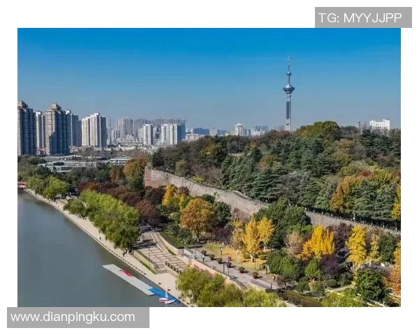 南京网球队的深度解析与控制策略揭秘之旅